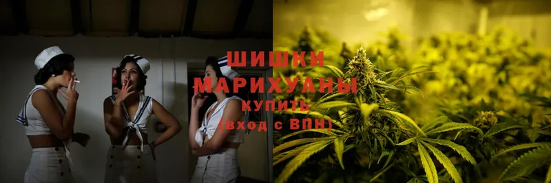 маркетплейс официальный сайт  купить наркотик  Кудрово  Марихуана THC 21% 